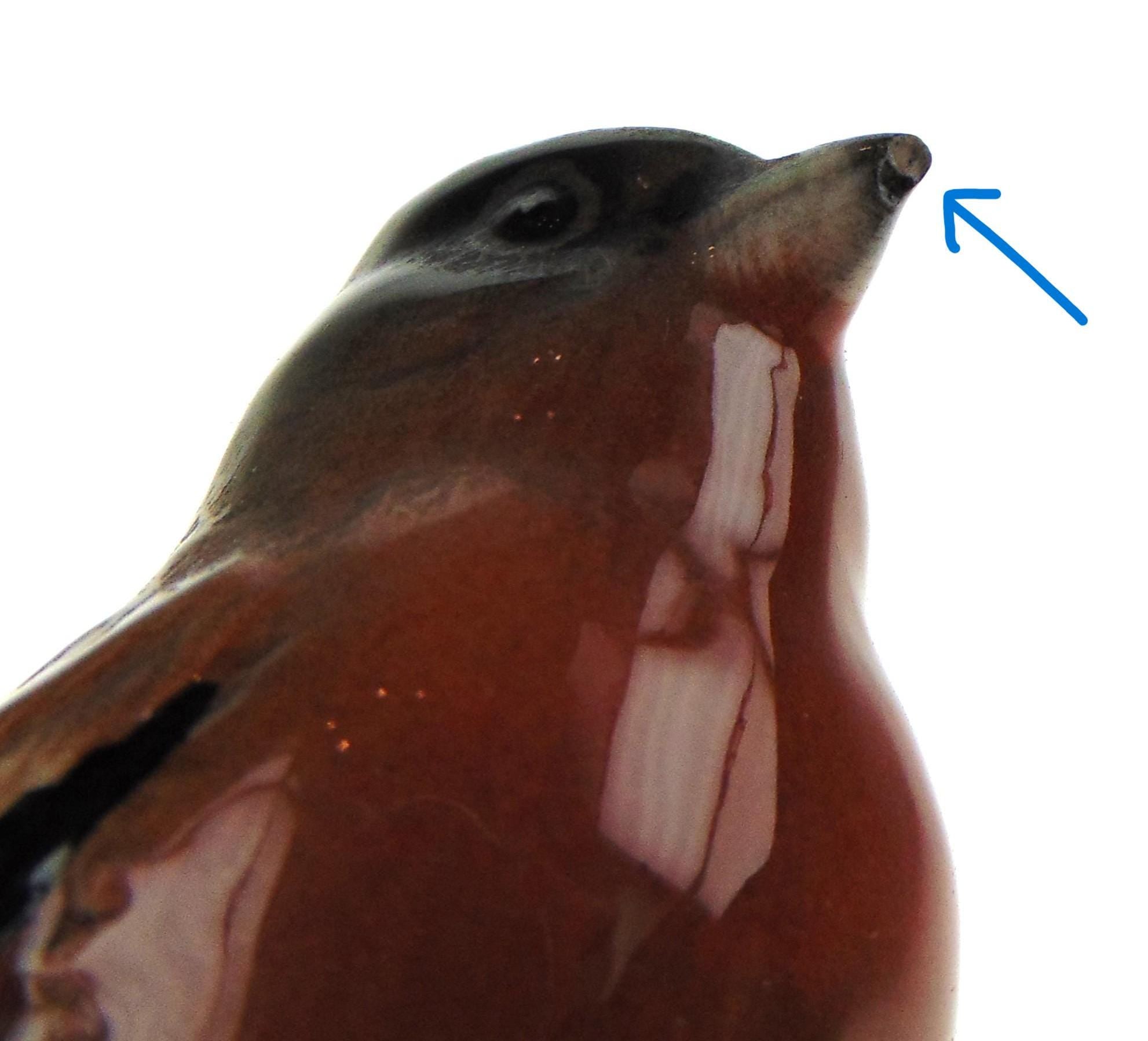 Vintage Beswick Chaffinch, Model 991, Dated 1943-1973