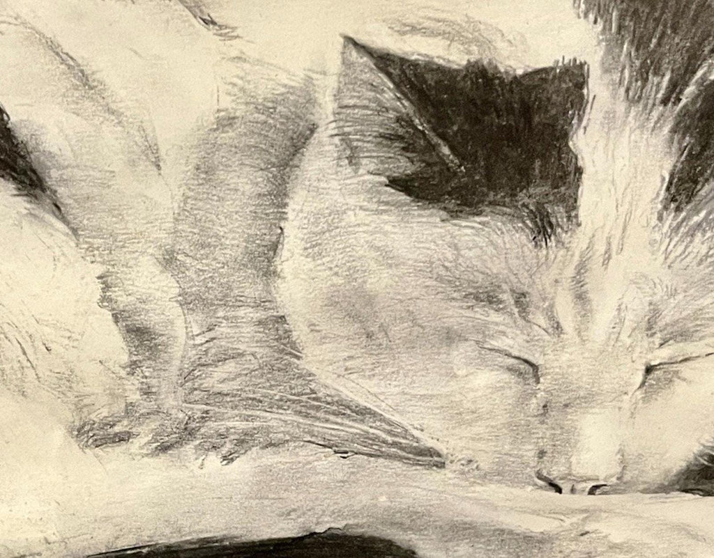 Original Charcoal Drawing: Sleeping Cat by Derek Bradbury, Signed Art (Framed Optional)
