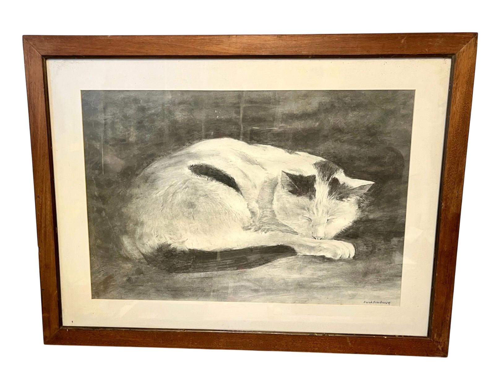 Original Charcoal Drawing: Sleeping Cat by Derek Bradbury, Signed Art (Framed Optional)