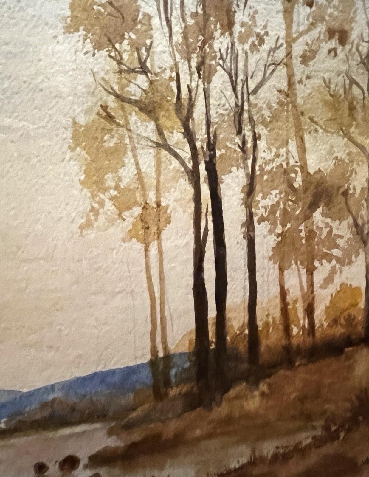 Evening Woodland Lake Watercolour Painting Framed 56x45cm Signed N. Jackson