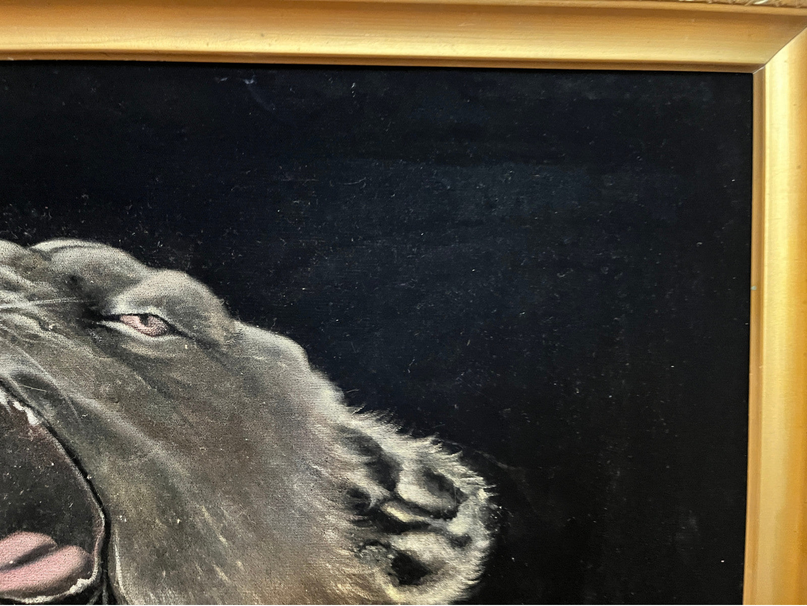 Fantastic vintage black velvet lioness painting bold retro 1970 lounge aesthetic