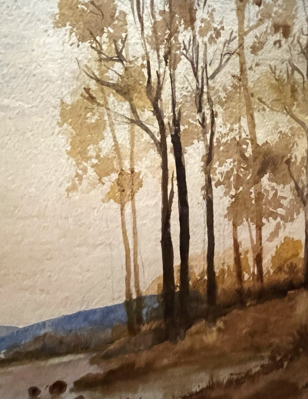 Evening Woodland Lake Watercolour Painting Framed 56x45cm Signed N. Jackson
