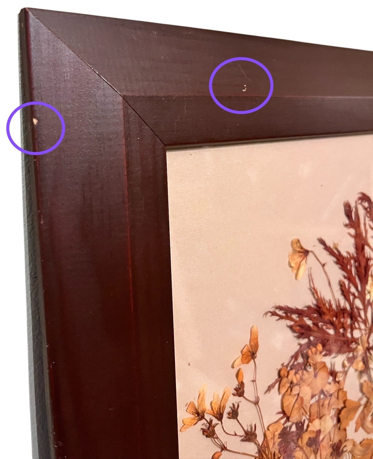 Vintage Pressed Flower Art – Signed EML 1990 – Framed Botanical Wall Art 37x48cm