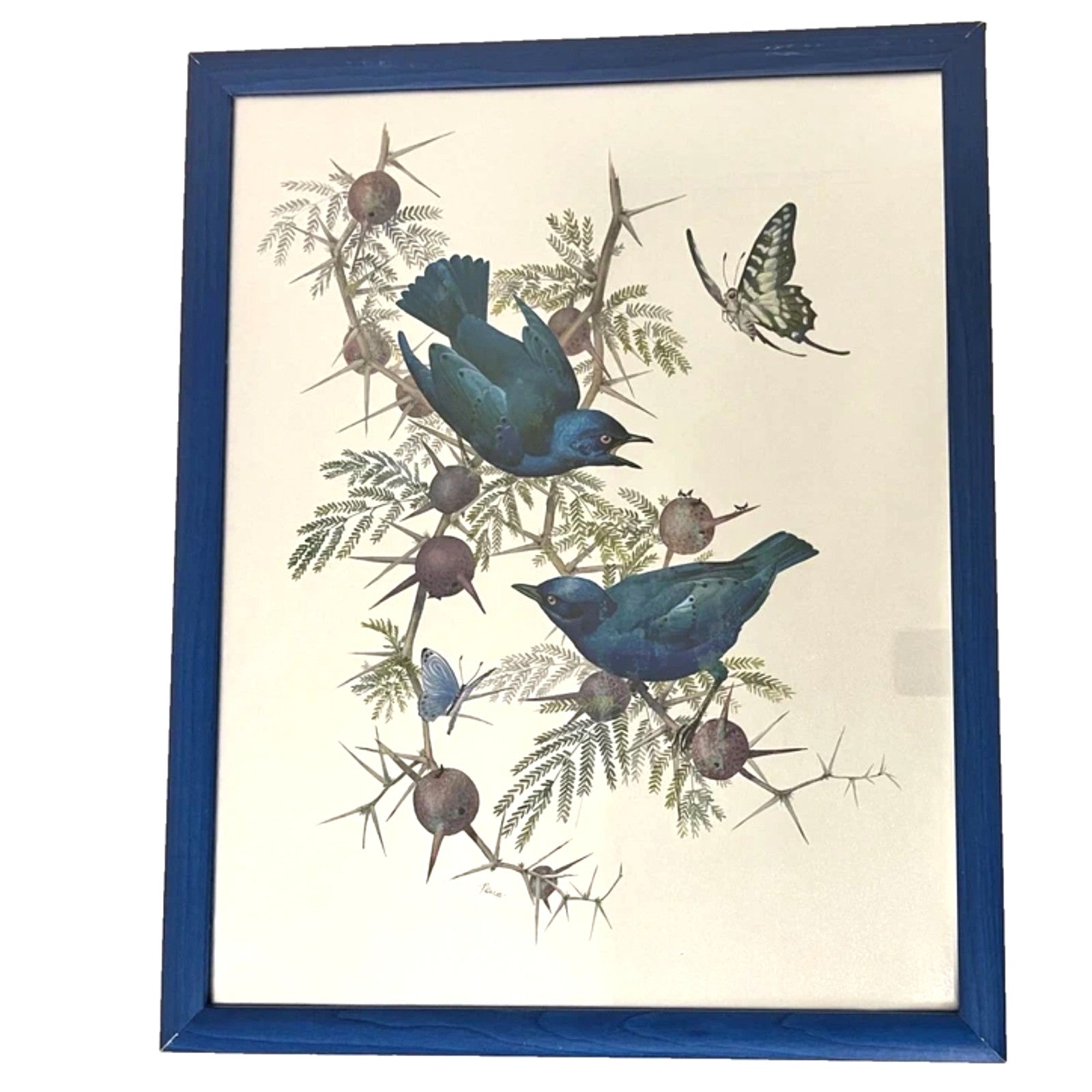 Vintage Dufex Foil Art Birds Framed 44×55cm Nature Wall Hanging Rena Fennessy