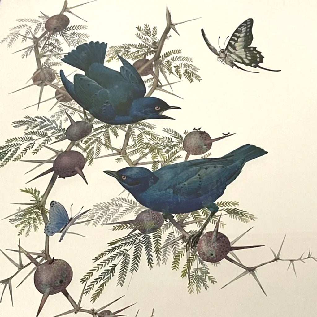 Vintage Dufex Foil Art Birds Framed 44×55cm Nature Wall Hanging Rena Fennessy