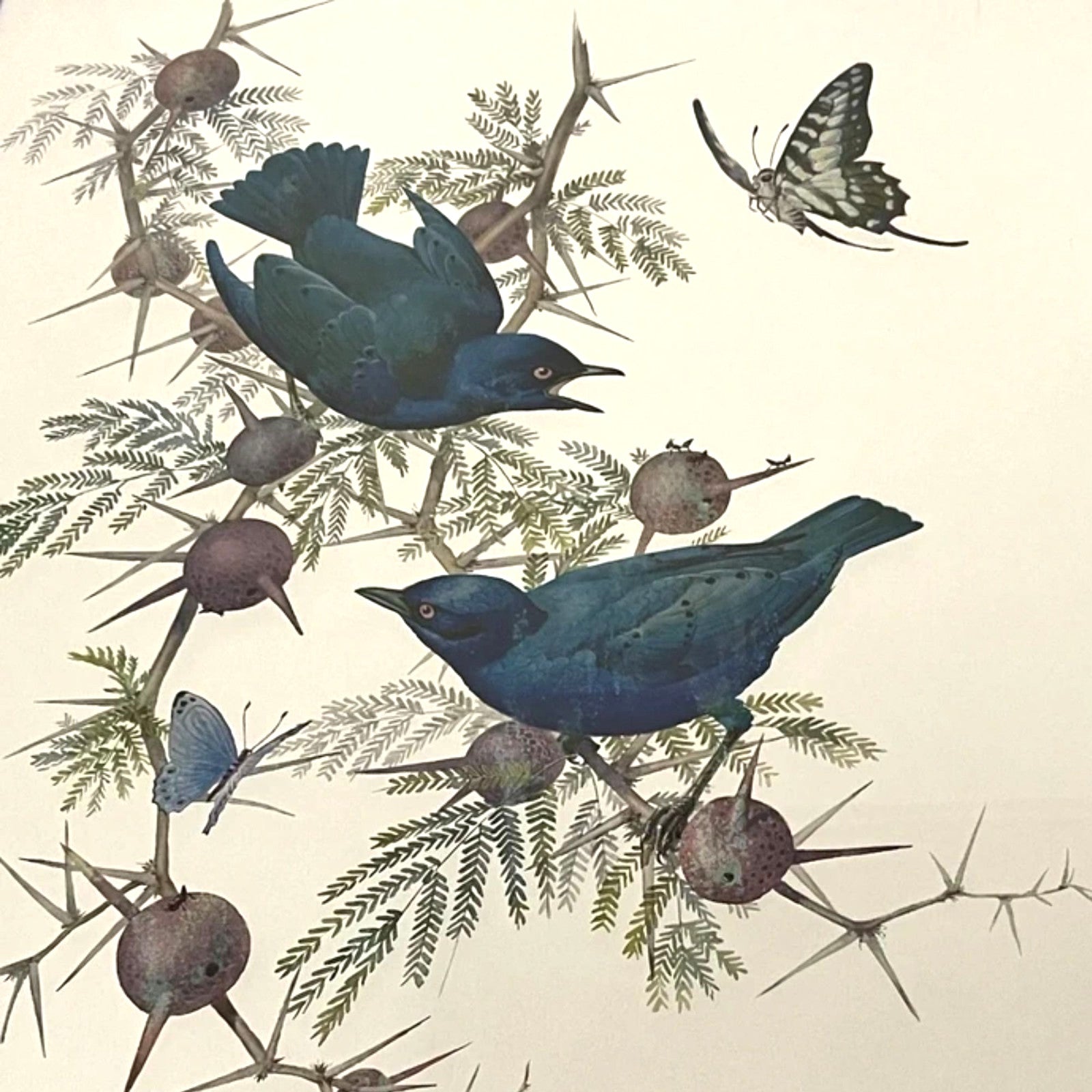 Vintage Dufex Foil Art Birds Framed 44×55cm Nature Wall Hanging Rena Fennessy