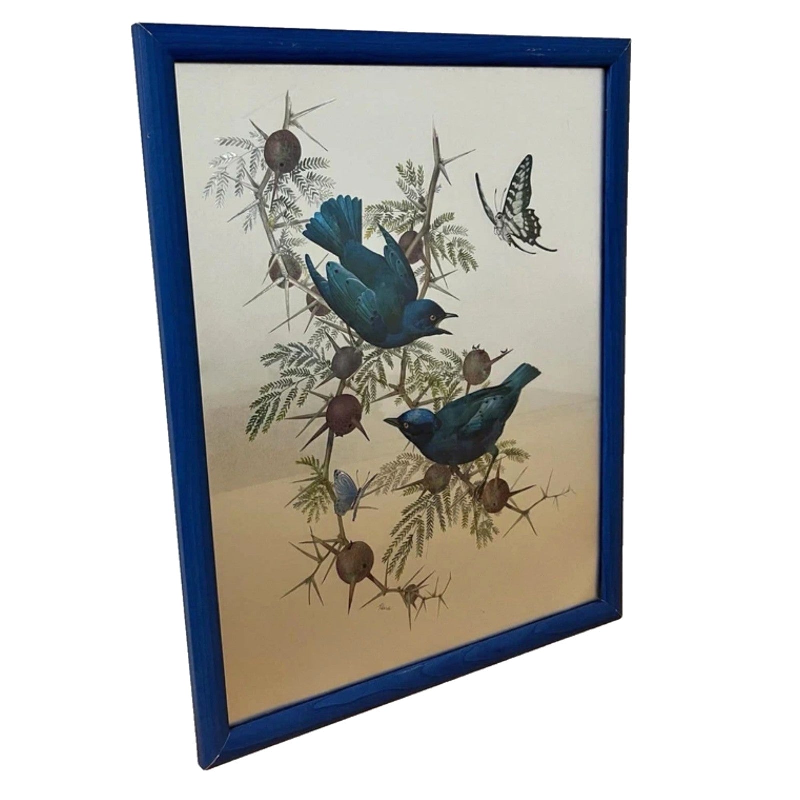 Vintage Dufex Foil Art Birds Framed 44×55cm Nature Wall Hanging Rena Fennessy