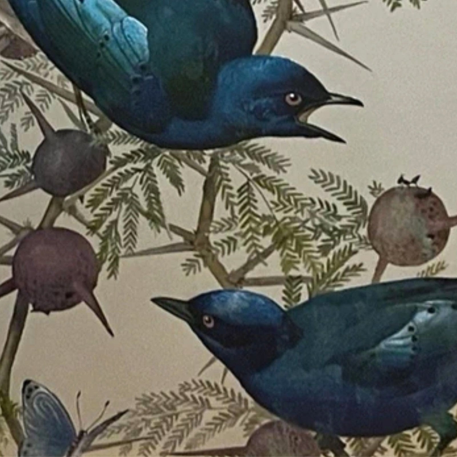 Vintage Dufex Foil Art Birds Framed 44×55cm Nature Wall Hanging Rena Fennessy