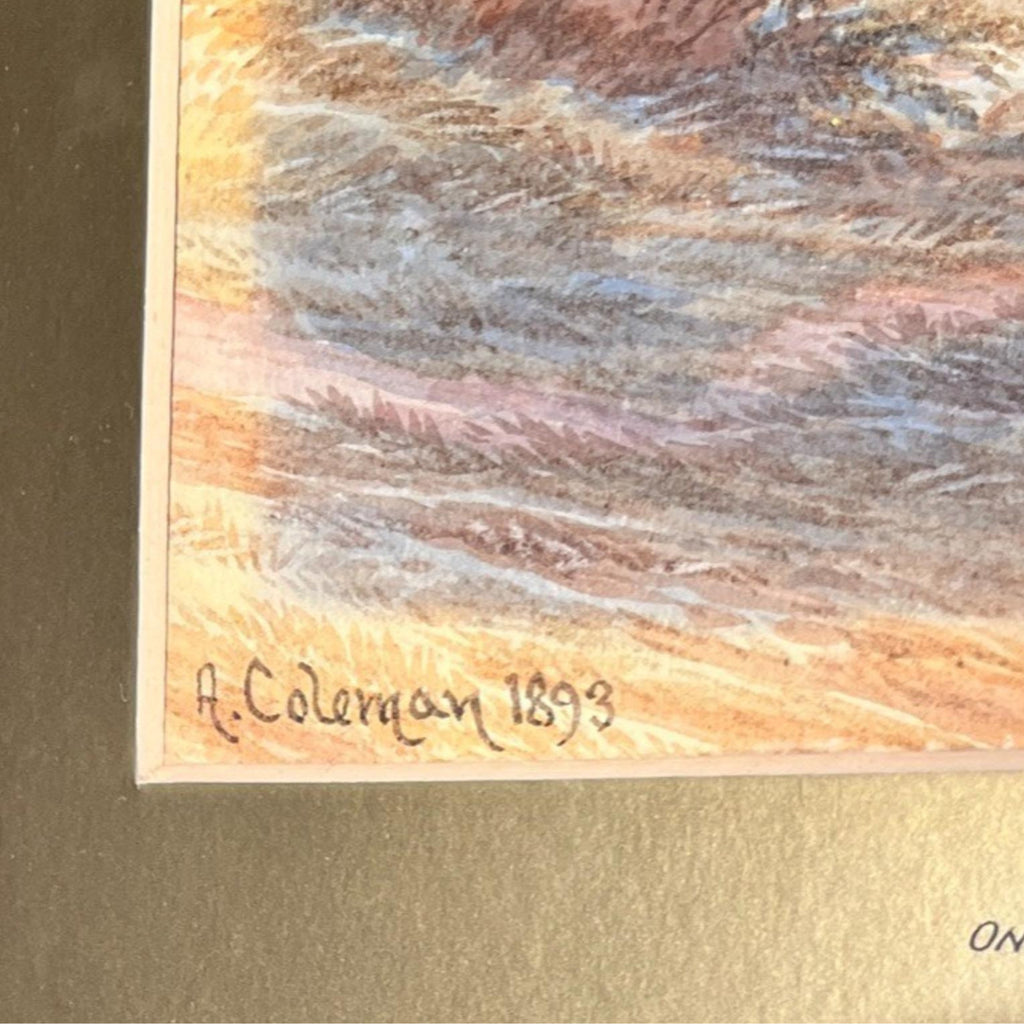 Antique Landscape Prints A Coleman 1893 Pair Loch Long &Devonshire