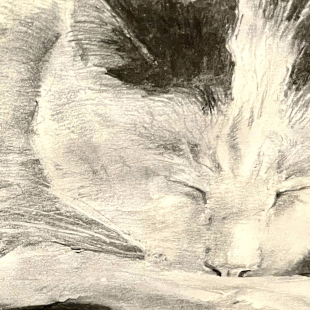 Derek Bradbury Signed Charcoal Drawing “Sleeping Cat” – Framed Original