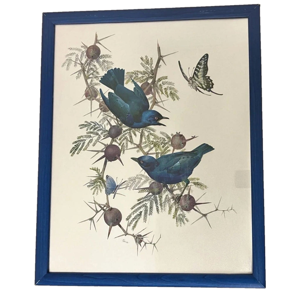 Vintage Dufex Foil Art Birds Framed 44×55cm Nature Wall Hanging Rena Fennessy